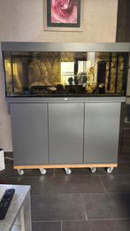 JUWEL AQUARIUM 240l met kast, Ophalen, Zo goed als nieuw