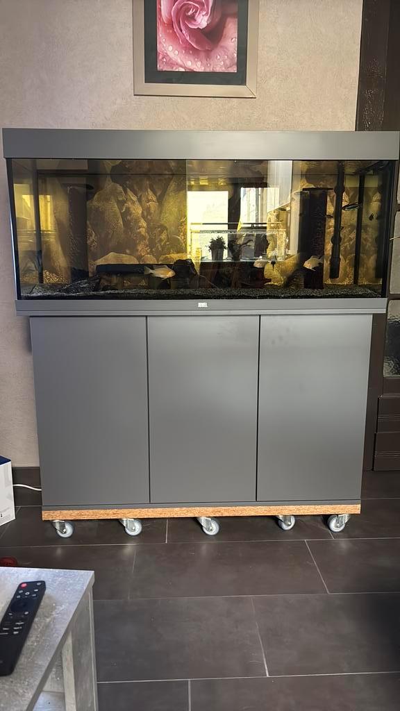 JUWEL AQUARIUM 240l met kast, Animaux & Accessoires, Poissons | Aquariums & Accessoires, Comme neuf, Enlèvement