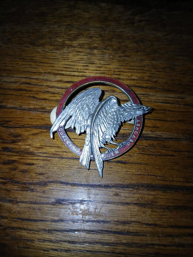 Breloque fae lum 9 wing 22 sqn chasse de jours, Envoi, Armée de l'air, Emblème ou Badge