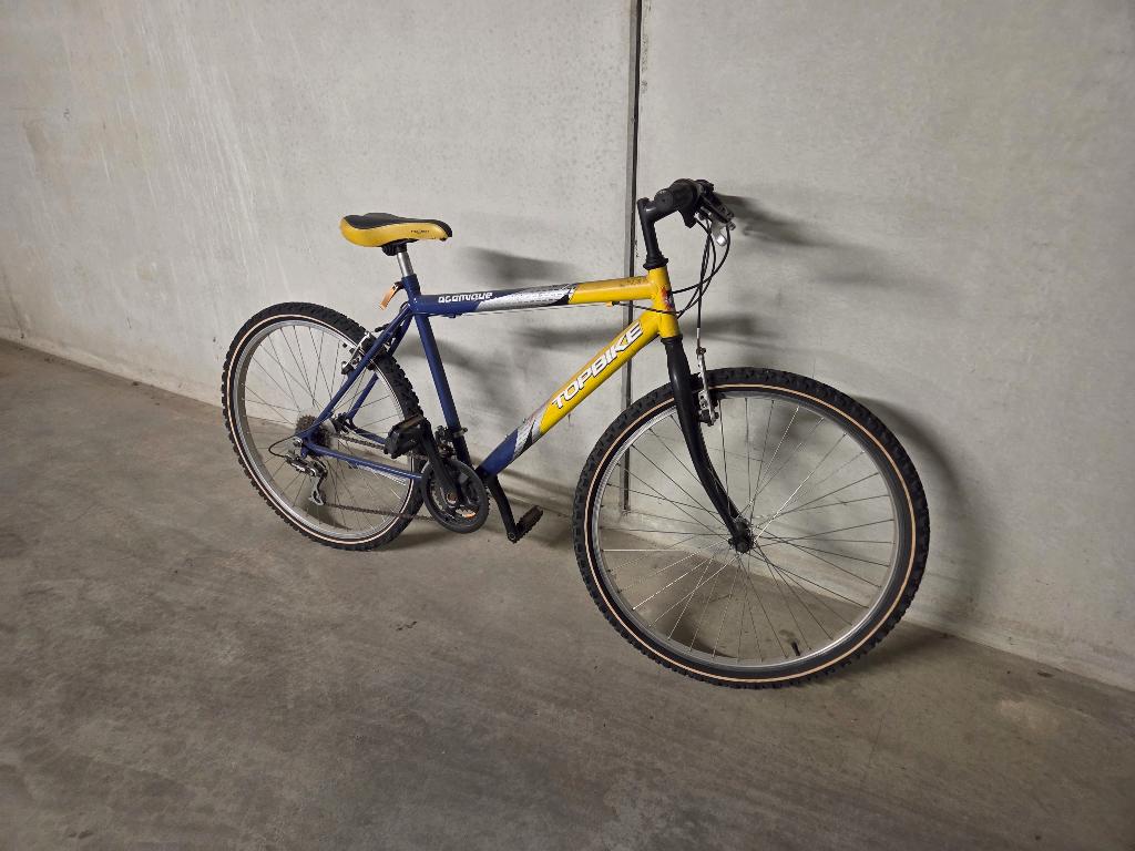 Fiets, Fietsen en Brommers, Gebruikt, Velgrem, Versnellingen, 65 cm of meer