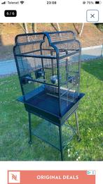 Mooie kooi eventueel met rosella, Dieren en Toebehoren, Ophalen, Zo goed als nieuw