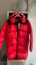 Winterjas nieuwe Scotch & Soda, Kleding | Dames, Wintersportkleding, Ophalen, Zo goed als nieuw