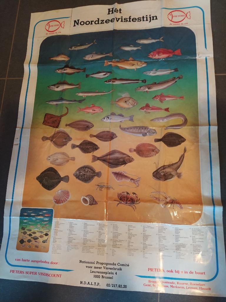 posters allerlei, Collections, Posters & Affiches, Enlèvement ou Envoi, Utilisé