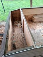 Remorque,  oude campingcar, Auto's, Particulier, Te koop