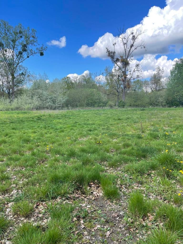 Stal en weides te huur, Dieren en Toebehoren