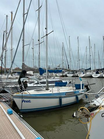 Zeilboot beschikbaar voor biedingen