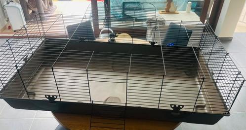 Konijnenhok, Dieren en Toebehoren, Knaagdieren en Konijnen | Hokken en Kooien, Nieuw, Kooi, Minder dan 60 cm, 110 cm of meer, Cavia