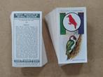 Boy Scout & Girl Guide complete set 50 chromos 1933 scouting, Verzamelen, Ophalen of Verzenden, Overige typen
