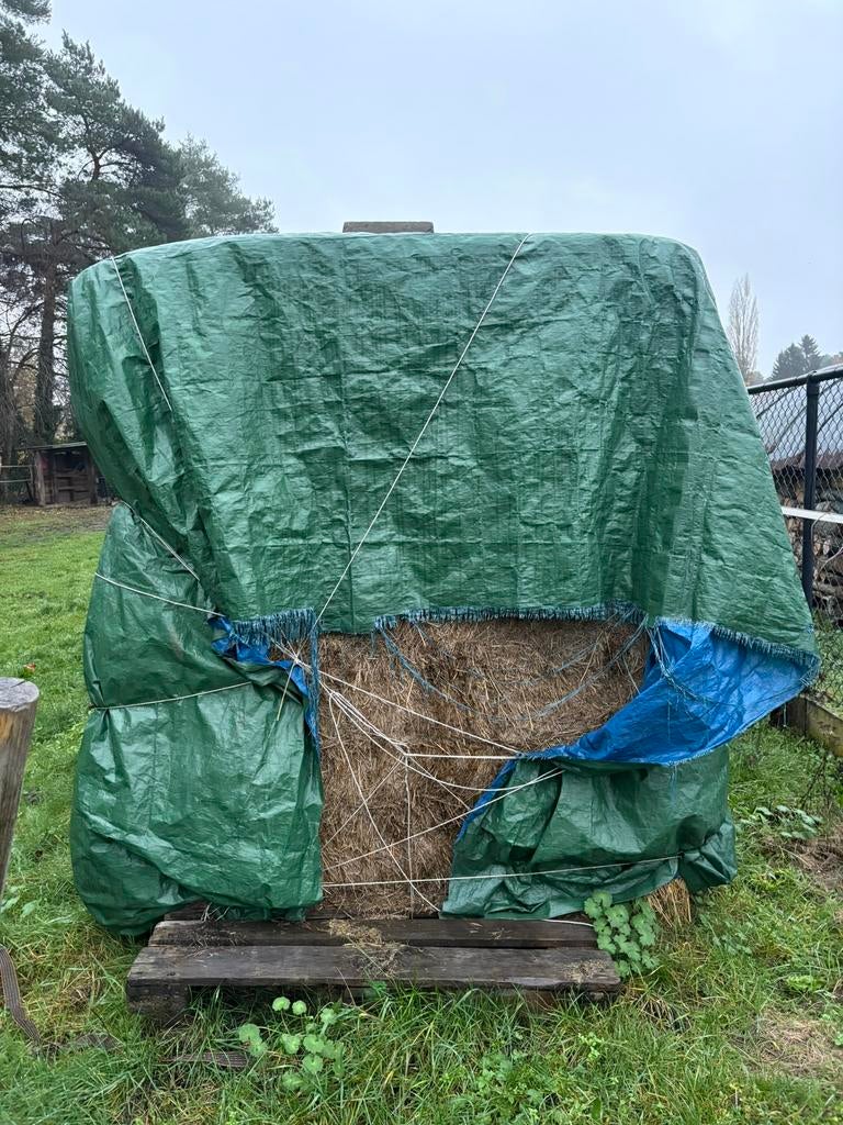 Hooi te koop (enkel af te halen), Dieren en Toebehoren, Dierenvoeding, Vee, Ophalen