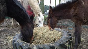 8 grote tractorbanden zie foto's. Voor hooi, speeltoestellen beschikbaar voor biedingen