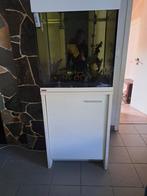Eheim cube aquarium zowel zee als zoet water, Ophalen, Zo goed als nieuw