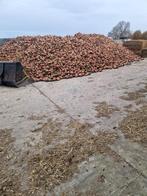 betterave fourragères, Dieren en Toebehoren, Dierenvoeding, Ophalen, Vee