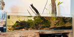 Aquarium met filter, Dieren en Toebehoren, Ophalen, Zo goed als nieuw, Gevuld zoetwateraquarium