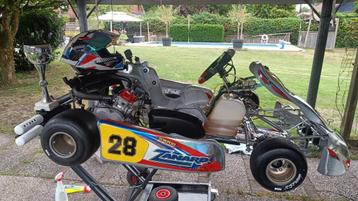 Zanardi DD2 Rotax kart125cc 2takt 38pk beschikbaar voor biedingen