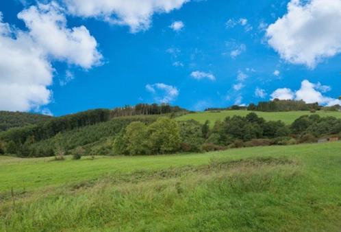 Erezée: bouwgrond, 10a 13ca, prachtig uitzicht., Immo, Gronden en Bouwgronden, 1000 tot 1500 m²