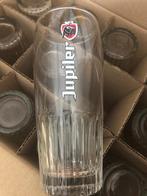 Glas Jupiler 25cl doos van 12, Verzamelen, Ophalen, Nieuw, Glas of Glazen, Jupiler