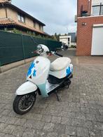 thurbo RX-50 Aklasse special edion, Fietsen en Brommers, Scooters | SYM, Ophalen, Overige modellen, Elektrisch, Zo goed als nieuw