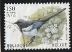 LOSSE  ZEGEL  BELGIE -  Ekster, Postzegels en Munten, Postzegels | Thematische zegels, Dier of Natuur, Verzenden, Gestempeld