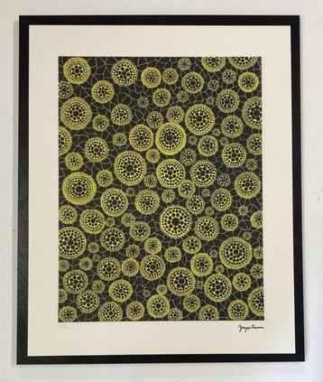 Yayoi Kusama: lithografie 40 bij 50 cm. Ingelijst verkocht beschikbaar voor biedingen