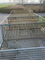 Lammerhokjes voor schapen of geiten, Schaap, 6 jaar of ouder