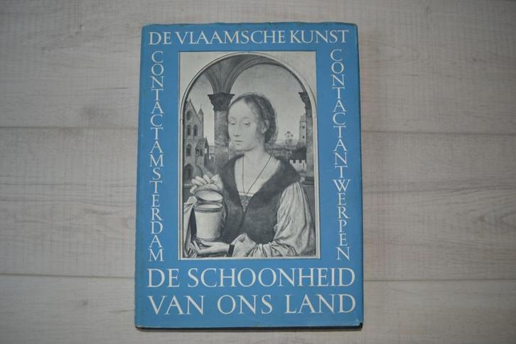 Kunstboek: De Vlaamsche kunst, Boeken, Kunst en Cultuur | Beeldend, Gelezen, Beeldhouwkunst, Ophalen of Verzenden