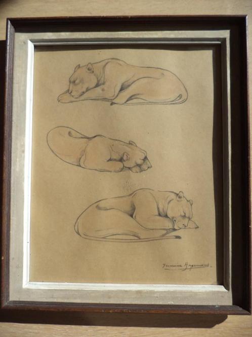1923 Germaine HAGEMANS pastel gouache slapende leeuwinnen, Antiek en Kunst, Kunst | Schilderijen | Klassiek, Ophalen of Verzenden