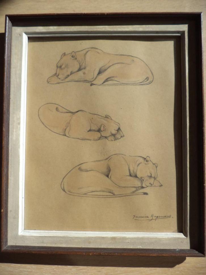 1923 Germaine HAGEMANS pastel gouache slapende leeuwinnen, Antiek en Kunst, Kunst | Schilderijen | Klassiek, Ophalen of Verzenden