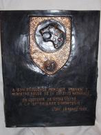 Zaire 21 infanterie regiment plaat, Ophalen, Landmacht, Kunstobject