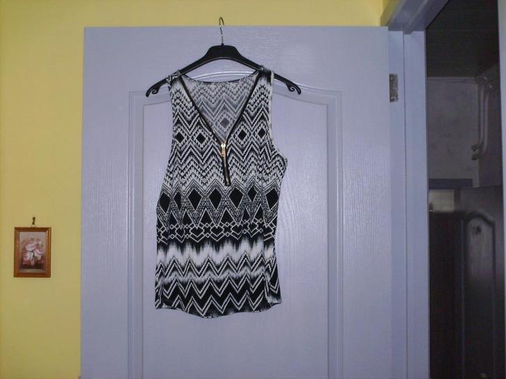 a vendre blouse tunique pour dame, Kleding | Dames, Blouses en Tunieken, Nieuw, Overige kleuren, Ophalen of Verzenden