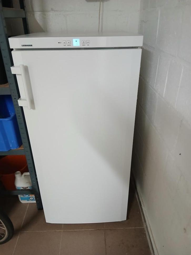 diepvriezer, Elektronische apparatuur, Vriezers en Diepvrieskisten, Gebruikt, Vrijstaand, 120 tot 140 cm, 60 tot 90 cm, Energieklasse A of zuiniger