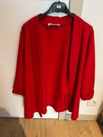 Rood blazer ( m ), Ophalen, Zo goed als nieuw, Rood