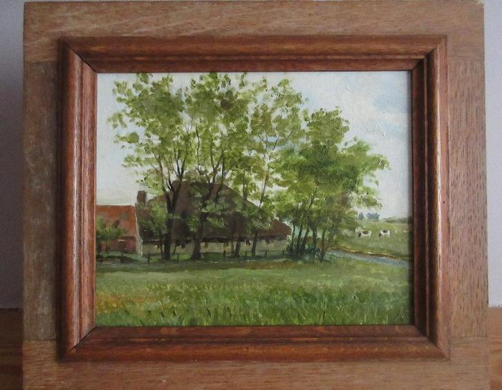 Piaam "Nynke's Pleats " Friesland door Lucien Boschmans, Antiek en Kunst, Kunst | Schilderijen | Klassiek, Ophalen of Verzenden