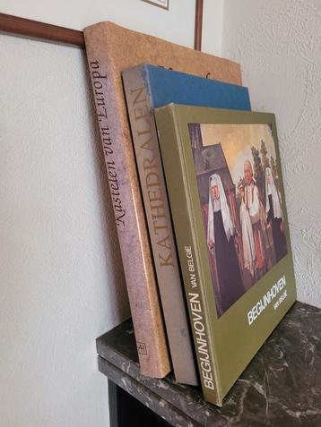 Artis Historia boeken  beschikbaar voor biedingen