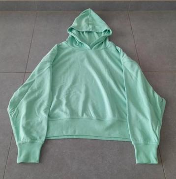 Sweater Bristol nieuw met etiket  beschikbaar voor biedingen