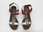 Schoenen EXIT, Kleding | Dames, Exit, Overige kleuren, Nieuw, Ophalen of Verzenden