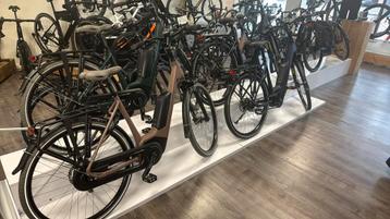 Norta Limited serie en andere modellen! beschikbaar voor biedingen