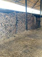 Brandhout; els en wilg, Tuin en Terras, Brandhout, 6 m³ of meer, Ophalen, Essenhout, Stammen