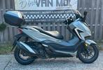 honda forza 350 abs bj 2021 zeer goede staat, 350 cm³, Scooter, Entreprise, Plus de 35 kW