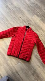 zomer jas emporio armani 7 / EA7 rood maat M, Ophalen, Maat 48/50 (M), Zo goed als nieuw, X