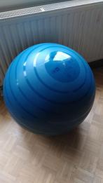 Ballon de fitness, Sport en Fitness, Fitnessmaterialen, Zo goed als nieuw, Fitnessbal, Ophalen