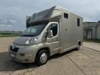 Paardenvrachtwagen, nieuwe opbouw B, Comme neuf, Polyester, Remorque 2 chevaux, Enlèvement ou Envoi