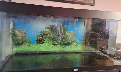 Juwel Aquarium rio400 incl. kast (zwart, 2 deurs), Dieren en Toebehoren, Vissen | Aquaria en Toebehoren, Gebruikt, Leeg aquarium