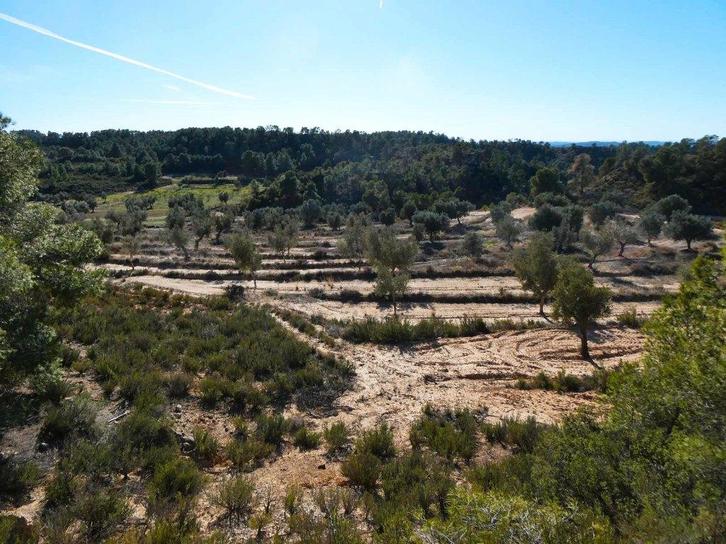 Finca in Fabara (Aragón, Spanje) - 1097, Immo, Buitenland, Spanje, Overige soorten, Landelijk