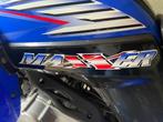 Quad Maxxer 300, Motoren, 1 cilinder, 300 cc, 12 t/m 35 kW
