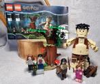 LEGO Harry Potter Verboden Bos: Omber's Ontmoeting, Ophalen, Zo goed als nieuw, Lego