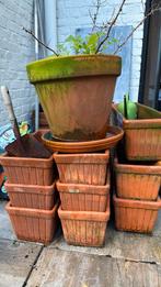 Terracotta bloembakken en potten buiten, planten, Enlèvement, Comme neuf, Terracotta