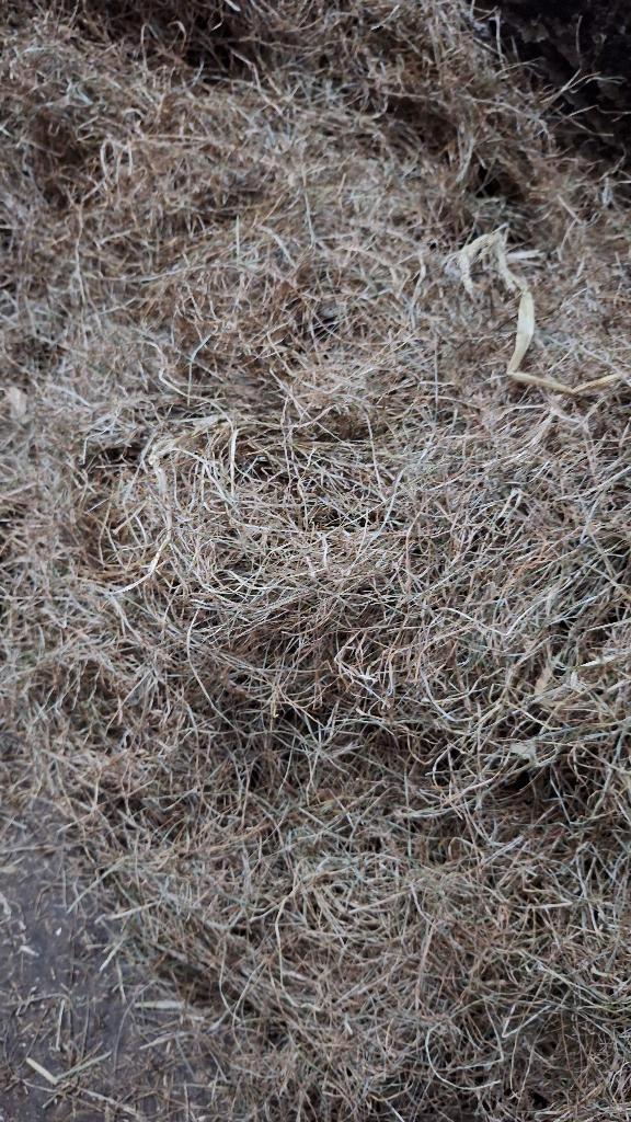 Gezocht: kleine pakken voordroog, Dieren en Toebehoren, Dierenvoeding, Verzenden