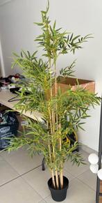 Kunstplant bamboe: hoogte +/- 160 cm - diameter +/- 80 cm, Ophalen, Zo goed als nieuw, Binnen