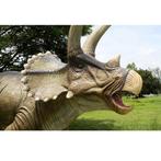 Giant Triceratops – Dinosaurus beeld Lengte 623 cm, Nieuw, Ophalen