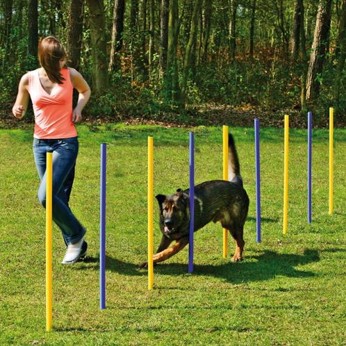 Agility Slalomset Palen 6 stuks Palen Training Hondensport, Dieren en Toebehoren, Honden-accessoires, Nieuw, Ophalen of Verzenden